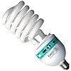 KAEZI 85 Watt Studio Light Bulb 5500K CFL Day Light.