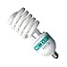 KAEZI 85 Watt Studio Light Bulb 5500K CFL Day Light.