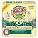 Earth's Best Diapers - Size 2-40 ct