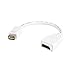 StarTech Mini DVI to HDMI Video Cable Adapter for Macbooks and iMacs (MDVIHDMIMF)