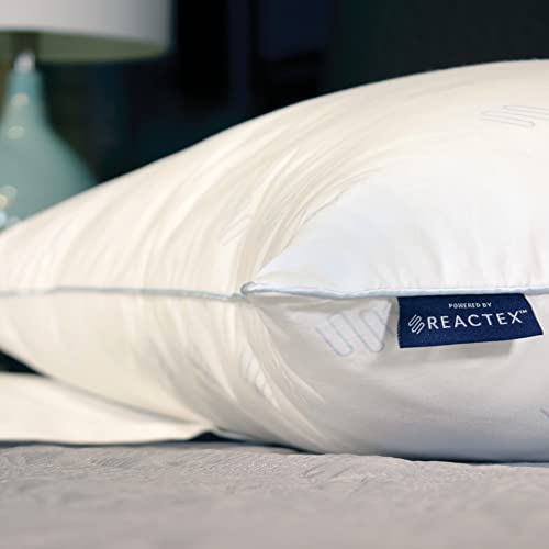 Arctic Nights 10x Cooler Supportive Fiber Jumbo Bed Pillow