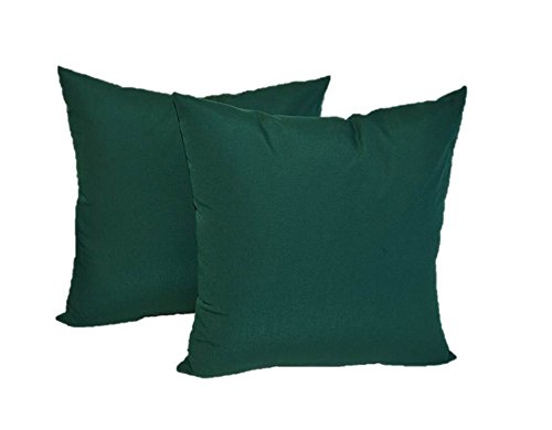 Set Of 2 Indoor Outdoor Square Decorative Throw Toss Pillows
