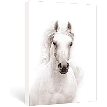 SUMGAR Modern Wall Art Bedroom Black and White Horse Pictures Office Farmhouse Animal Canvas Paintings Contemporary Prints Framed Artwork Living Room Home Decorations Gifts,16x24 inch