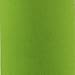 Bonison Stylish Environmental Borosilicate Glass Water Bottle with Colorful Nylon Sleeve (18oz) (GREEN)