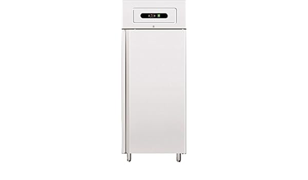 forcar vetilierter unas Frigorífico GN 650BT: Amazon.es: Industria ...