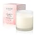 LOVSPA Spicy Apple Cinnamon Aromatherapy Spa Candle | Clarity: Macintosh Apple, Cinnamon, Clove & Vanilla Scented | Natural Vegan Wax | Elegant Gift for Women & Menthumb 3