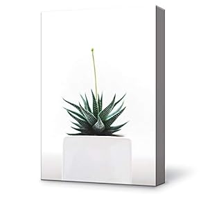 White Succulent Pot On White Background Vertical - Canvas Art