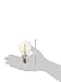 LED2020 LED Vintage Filament Bulb,A19 Edison Style,4W to Replace 40W Incandescent Bulb,Soft White (2700K), 120VAC, E26 Medium Base, Not Dimmable