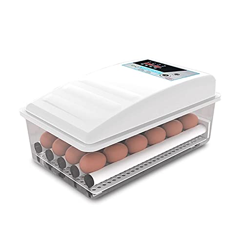 FHISD Brutmaschinen für Bruteier Brutmaschinen für Wachteleier 24 Eier Vollautomatische Geflügelbrütmaschine Digitaler…