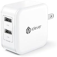 iClever BoostCube 24W Dual USB Wall Charger with SmartID Technology, Foldable Plug, Travel Power Adapter for iPhone Xs/XS Max/XR/X/8/7/7 Plus/ 6S/6 Plus, iPad Pro Air/Mini and Other Tablet