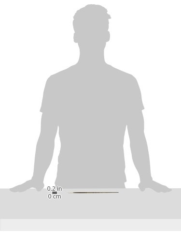 Winsor & Newton Monarch Round Long Handle Brush, Size 00