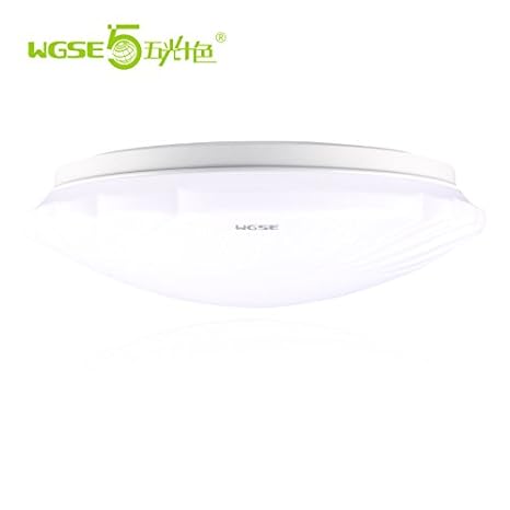 Yposion Led Ceiling Light Round Small Living Room Bedroom Study