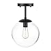 Light Society Zeno Globe Semi Flush Mount Ceiling Light, Clear Glass with Black Finish, Contemporary Mid Century Modern Style Lighting Fixture (LS-C176-BK-CL)