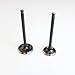 NICHE Cylinder Head Intake and Exhaust Valve Kit for Yamaha Warrior 350 1987-2004