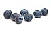 Nova Scotia Organics Freeze Dried Wild Blueberries Snacker Pack (6 x 21g)