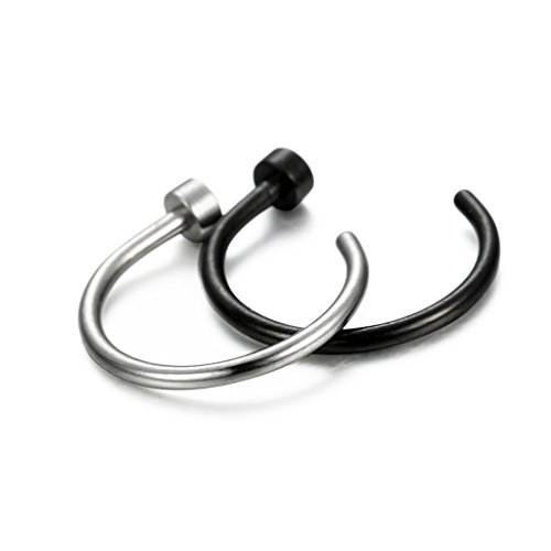 image for FIBO STEEL 20G 2PCS Stainless Steel Body Jewelry Piercing Nose Ring Ho