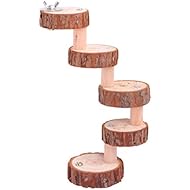 Balacoo Natural Wood Stand Platfrom Wood Playground Chew Toys Round Bird Perch for Pet Parrot Hamster (5 Stairs)