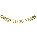 Gold Glitter Cheers to 30 Years Banner 30th Birthday Anniversary Party Photo Prop Garlands Bunting Decor (30)