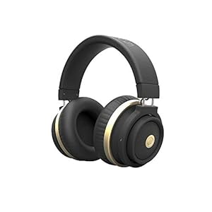 astrum HT200 Pure Leather Bluetooth Headset with Mic (Black)