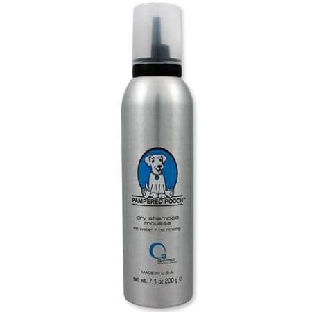 camouflage cat collar