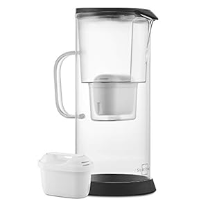 SILBERTHAL Waterfilter glazen karaf 2,7 liter – inclusief 1 waterfilterpatroon – vermindert kalk en chloor in het…