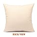 FBCOO Farmhouse Quote Decorative Throw Pillow Cover, Wayne Gretzky Funny Michael Scott Cushion Case Decor Sign, Seasonal Home Square Pillowcase Sofa Couch Decoration 18x18 for The Office TV Show Lover