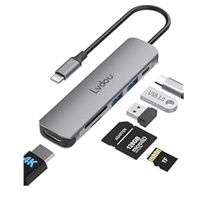 2025高機能版 USB C ハブ 6-in-1 Lvdou アダプタ 100W PD充電対応