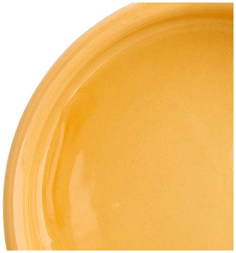 Nobby Knaagdier keramische schaal "CARROT" beige/oranje Ø7,5 x 2,5 cm, 1 stuk (1 stuk) - Afbeelding 4