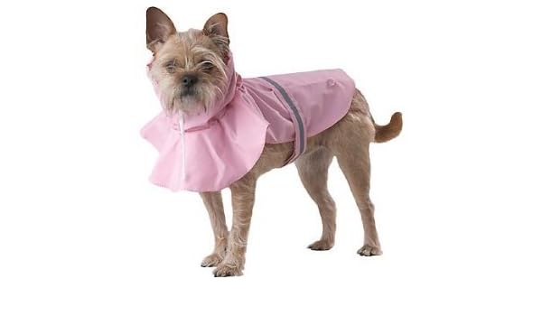 dog raincoat petco