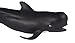 Safari Ltd. Pilot Whale Figurine - Lifelike 5.75