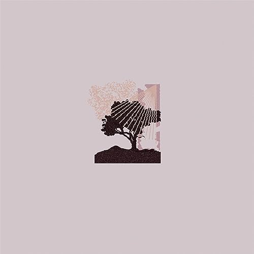 Amazon.com: Butcher Brown Presents Triple Trey[LP/7