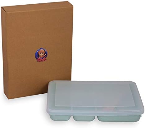 Crya Bento Wheat Straw Grid Ecofriendly Lunch Box BPA Free 4 Partition Tiffin with Spoon for Kids and Adults (Green)
