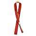 Pixnor 12pcs Colorful Hand Held Dance Rainbow Ribbon Toys for Children