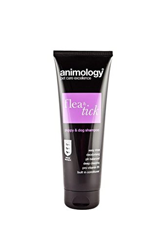 Animology Flea & Tick Puppy & Dog Shampoo Easy Rinse Deodorising 250ml