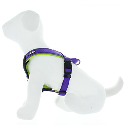 Pawtitas Pet Training Soft Adjustable Reflective Padded Puppy / Dog Harness Extra Extra Small Purple