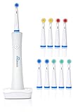 Wellness Oral Care Advanced High Powered Rotary Oscillating Rechargeable Electric Toothbrush with Charging Base and 10 Brush Heads