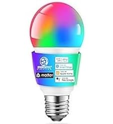 Echo Pop with Energetic Smart Color Bulb