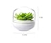 Peicees Lotus Cotton Swab Holder Q-tips Toothpicks Storage Organizer Green