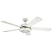 Westinghouse 7801720 Comet Indoor Ceiling Fan with Light, White