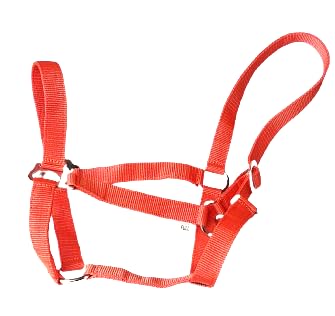 Extra Strong Equine NEW Horse Cob Pony headcollars halter Nylon - ORANGE (Full)