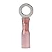 ANCOR MARINE GRADE 310225 Electrical Nylon Insulated Adhesive Lined Heat Shrink Ring Terminals (22 to 18-Gauge, Size 8 Screw, 25-Pack)