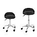 HomGarden Adjustable Hydraulic Rolling Swivel Stool for Massage Salon Office Facial Spa Medical Tattoo Chair Stool w/Backrest Cushion & Wheels