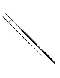 Daiwa sln66 X xhr sealine 50   100 lb Prueba Barco Rod, negro
