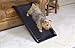 Dog Ramps for Cars and SUVs  ~ Brookstone 