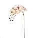1 Piece Simulation Butterfly Orchid Artificial Flower Plant Home Decoration