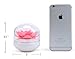Bloss Cotton Swab Holder Lotus Q-tip Dispenser Decorative Bathroom Accessories, Pink