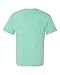 Comfort Colors Men's Garment-Dyed Pocket T-Shirt_Chalky Mint PgmDye_M