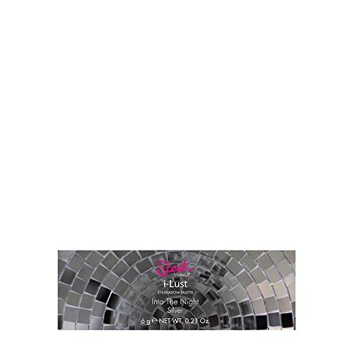 Sleek MakeUP I-Lust Lidschatten-Palette – 'Into The Night' Silber-Töne, 6 G, Inkl. Pinsel