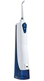 Waterpik Waterflosser Cordless Rechargeable WP-360W, Health Care Stuffs