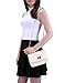 HDE Women's Small Crossbody Handbag Purse Bag with Chain Shoulder Strap (Champagne)
